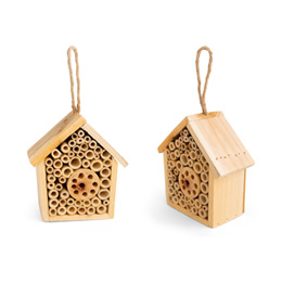 Sample Insect House