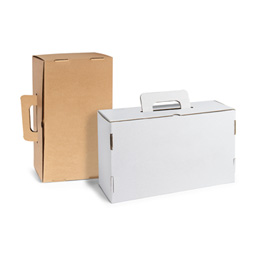 Sample Cardboard Suitcase
