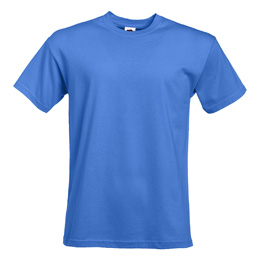 Sample Men's T-Shirt (Budget)