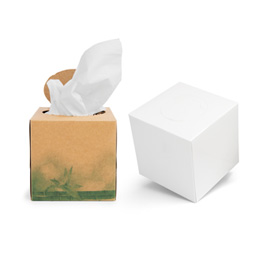 Sample Tissue Box Holder