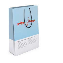 Sample Classic Paper Carrier Bag, Art Print Paper