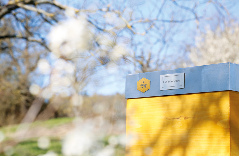 FLYERALARM Bienenpatenschaft Gold