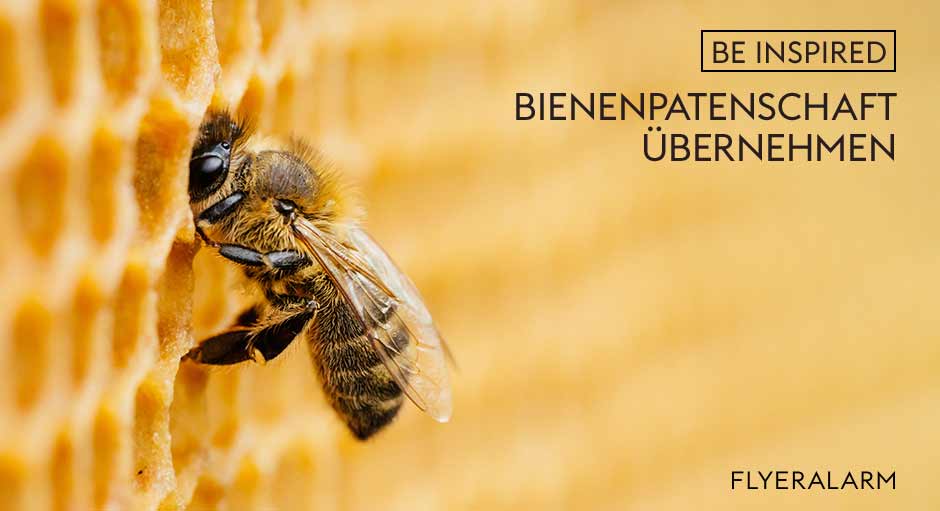 Bienenpatenschaft übernehmen mit FLYERALARM und beeswe.love