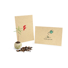 Gastgeschenke: Blumensamen