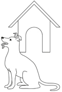 Hund