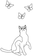 Katze