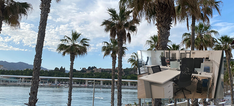Blick auf Palmen und Wasser, im Bild eingeblendet ein kleineres Foto von einem modernen Büroarbeitsplatz.