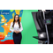 Roll-Up Classic green screen, sistema incl. stampa