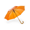 Campione di ombrello con manico curvo in legno