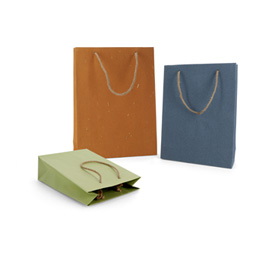 Muster Papiertragetaschen mit Jutekordel
